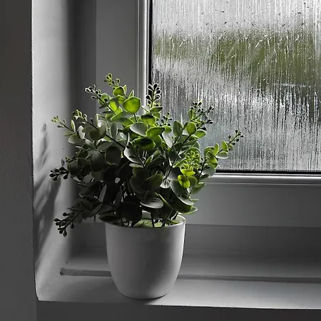 Maison La Bulle D'heloise Vakantiehuis Le Boupère