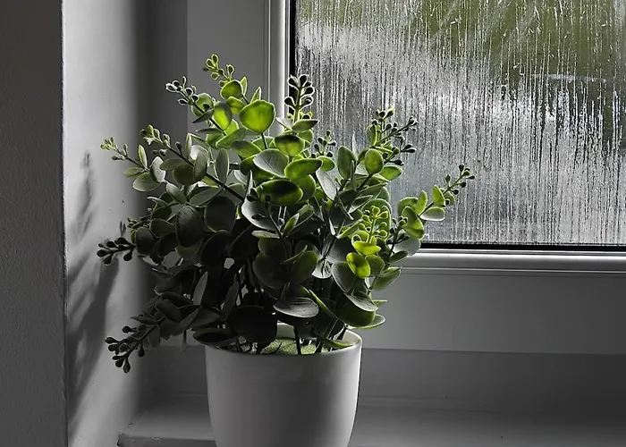 Maison La Bulle D'heloise بيت للعطل Le Boupère