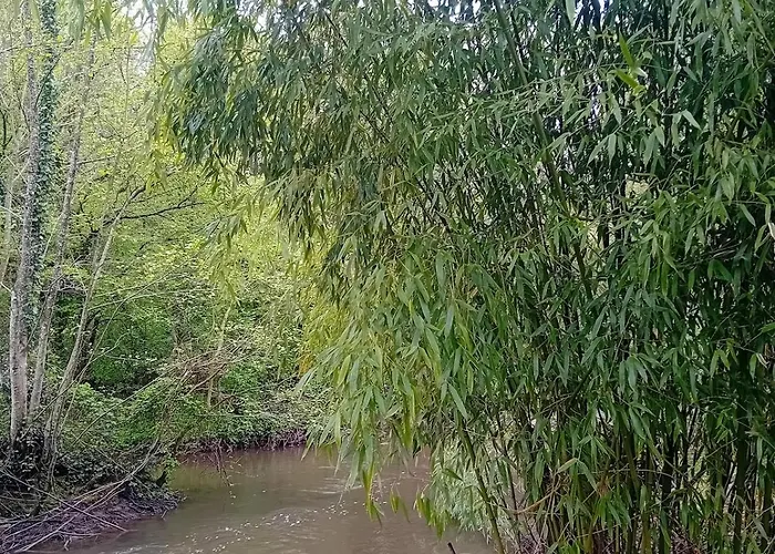 بيت للعطل Maison La Bulle D'heloise *